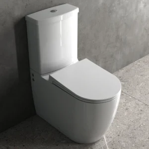 Siena 64cm Rimless Fully Shrouded Toilet Complete Set