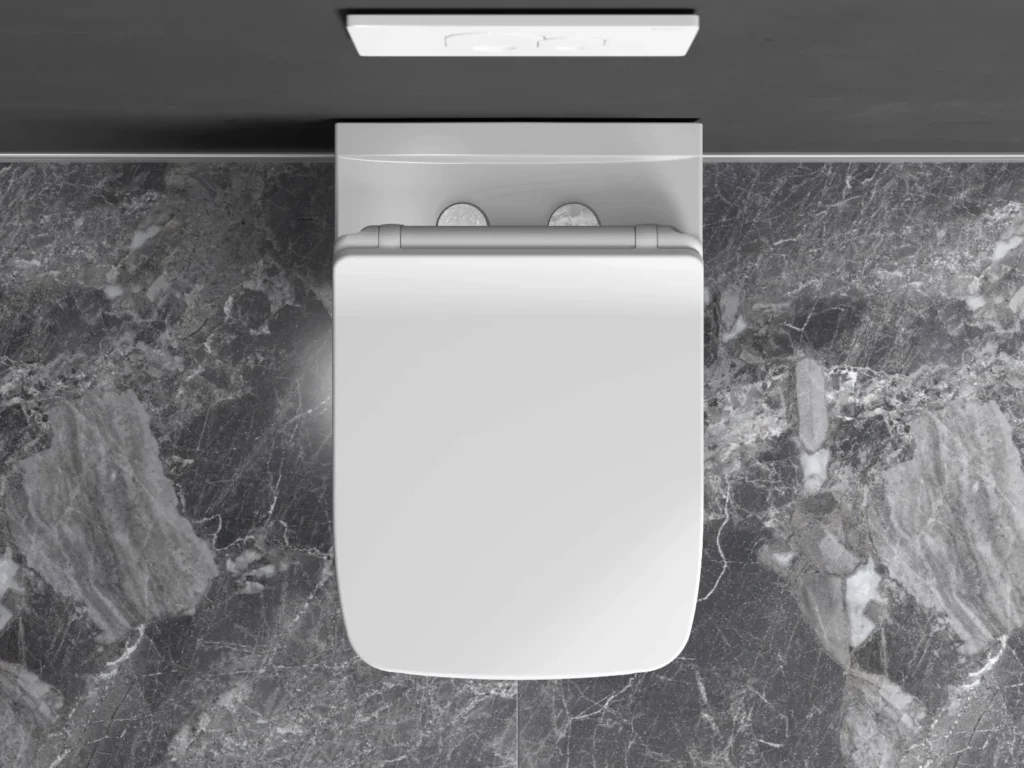 Zeugma 54cm Rimless Wall Hung Toilet