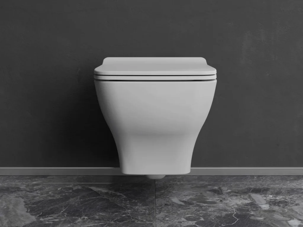 Petra 54cm Rimless Wall Hung Toilet Complete Set