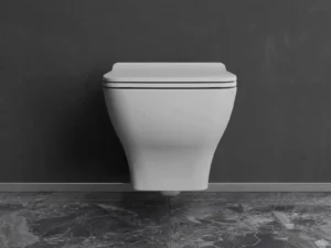 Petra 54cm Rimless Wall Hung Toilet Complete Set