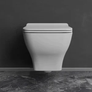 Petra 54cm Rimless Wall Hung Toilet Complete Set