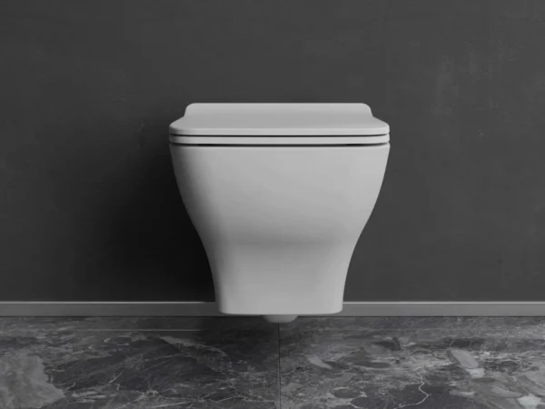 Petra 54cm Rimless Wall Hung Toilet Complete Set