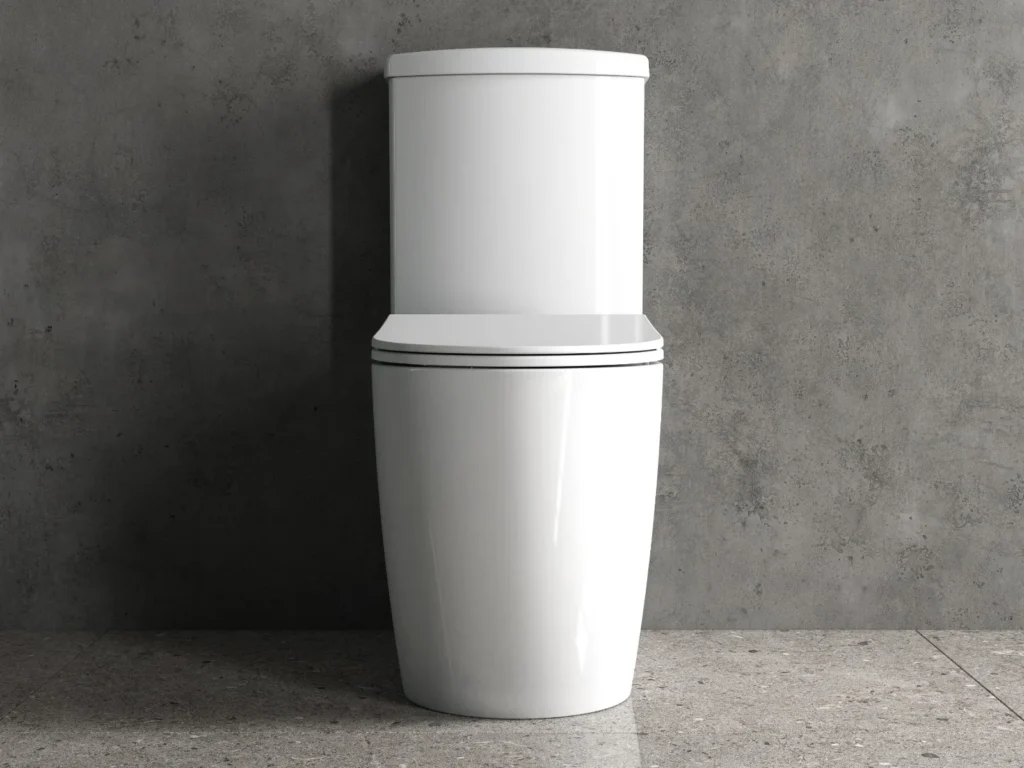 Siena 64cm Rimless Fully Shrouded Toilet Complete Set