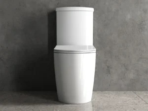 Siena 64cm Rimless Fully Shrouded Toilet Complete Set