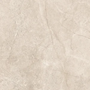 Beige matt porcelain tile showing natural stone-effect veining and texture