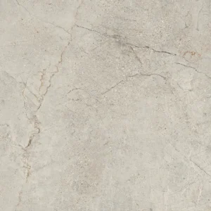 Sandy beige stone-effect porcelain tile with branching grey veins and speckles