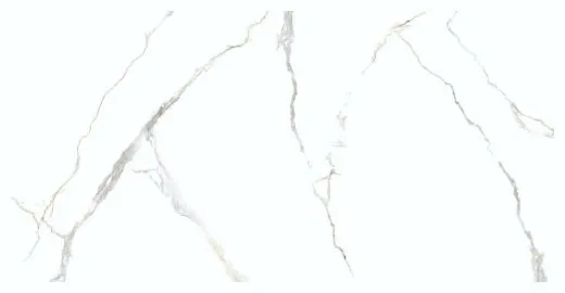 Acothley Polished 60X120
