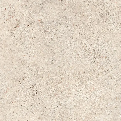 Warm beige matt porcelain tile with scattered stone aggregate detailing throughout