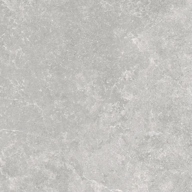 Mid-grey matt porcelain tile with mottled stone-effect surface and subtle veining